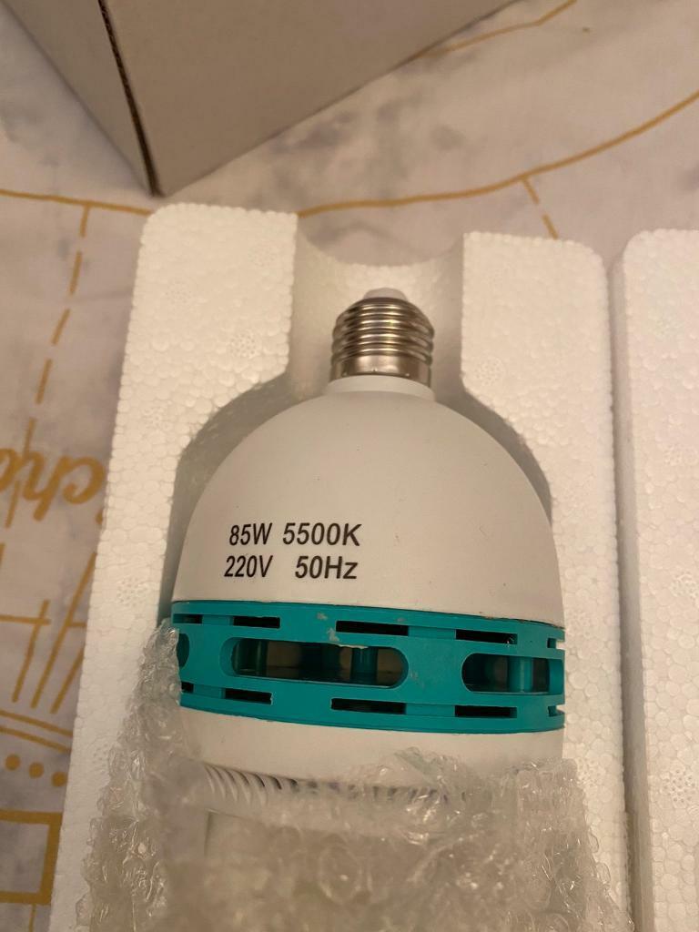 Photography light bulbs 