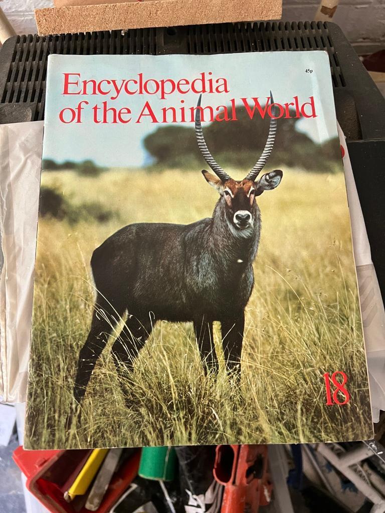 image for Encyclopedia’s