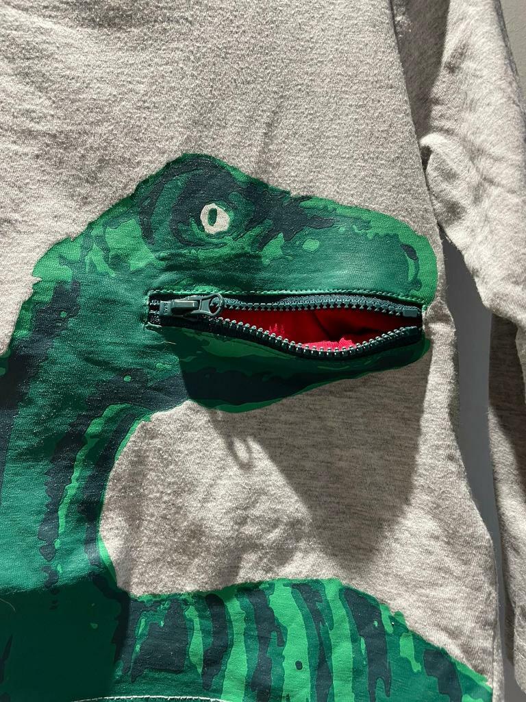 Joules dinosaur top 2 years