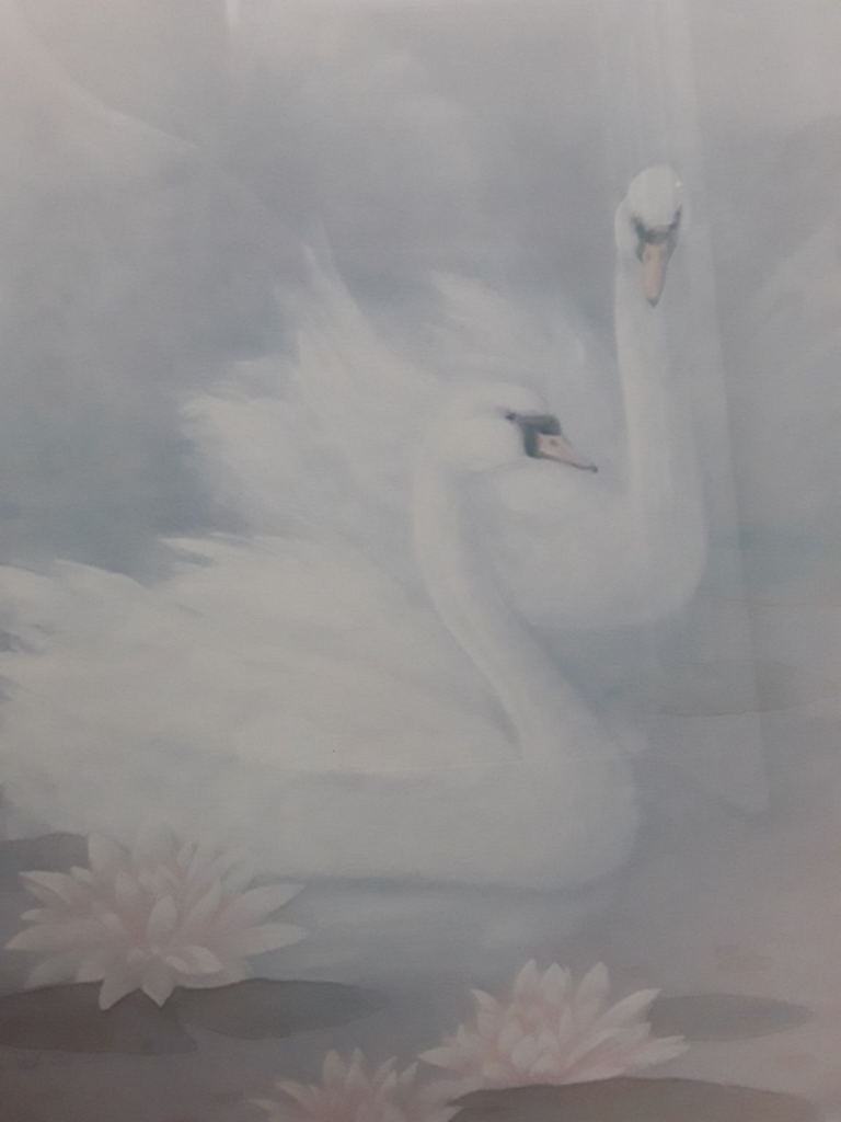 image for SWANS FRAMED PICTURE