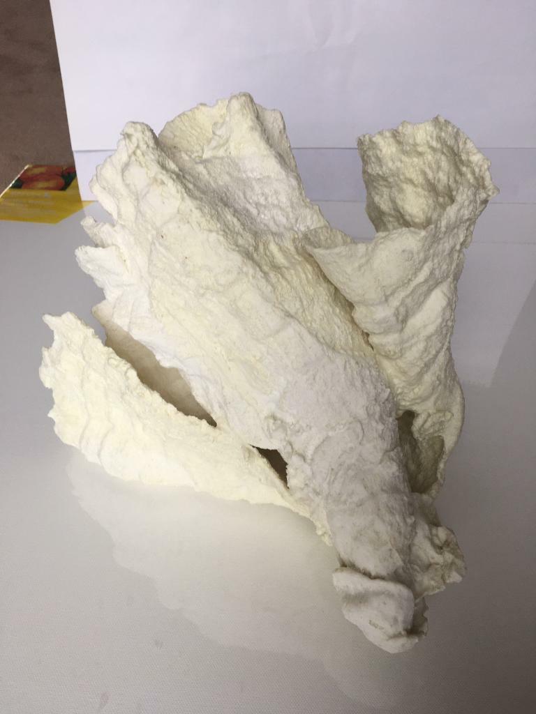 pottery barn large REALISTIC CORAL STATUE GARDEN ORNAMENT CORAL new IN BOX IDEAL GIFT