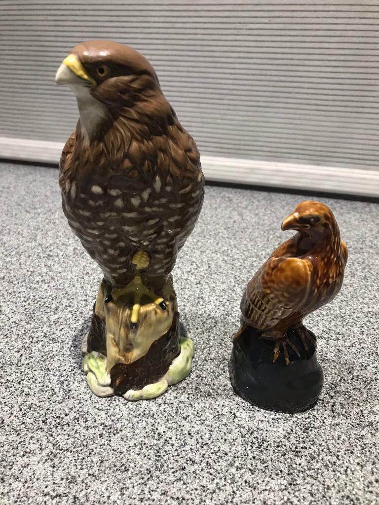 image for Eagle buzzards