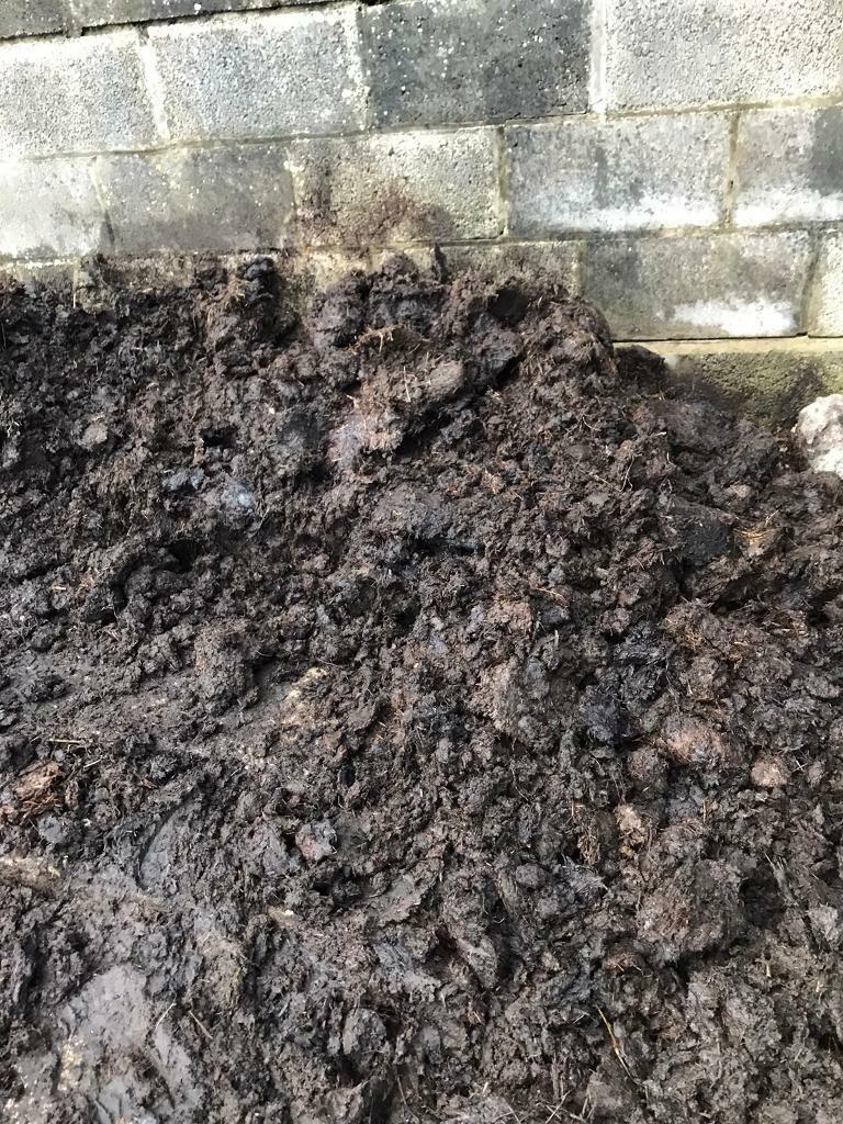 Well rotted fabulous organic cow manure