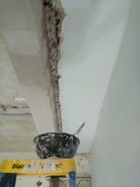 image for Local Plasterers 