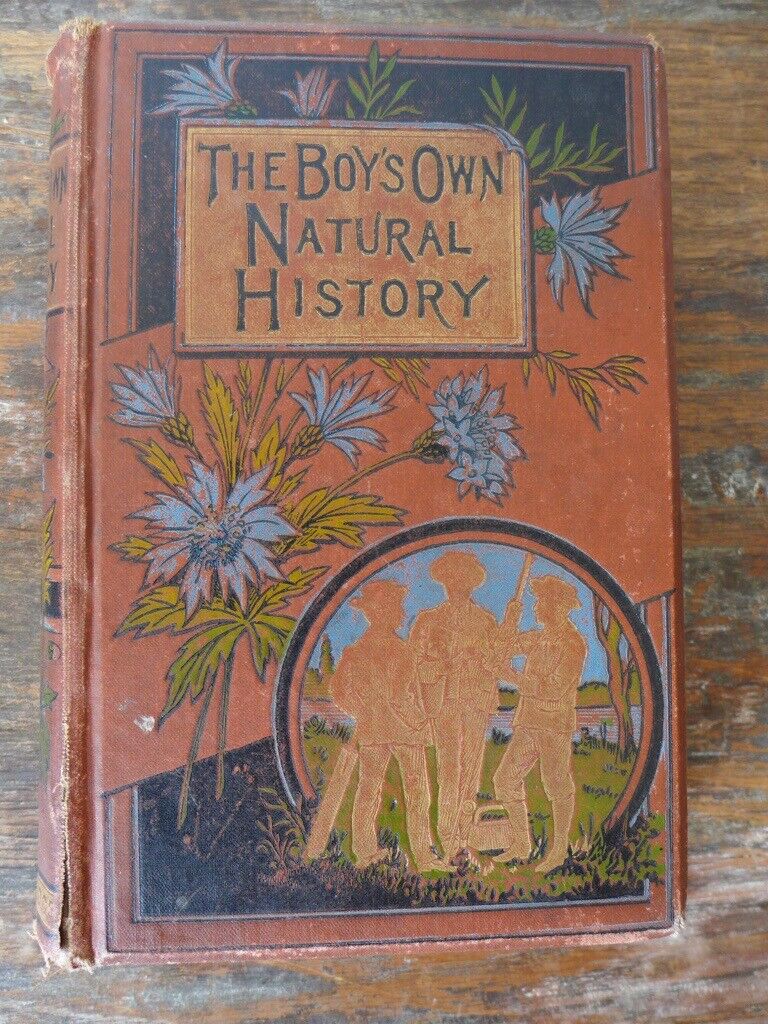 image for Collectable antique vintage hardback: THE BOY’S OWN NATURAL HISTORY. By the Rev J G Wood.