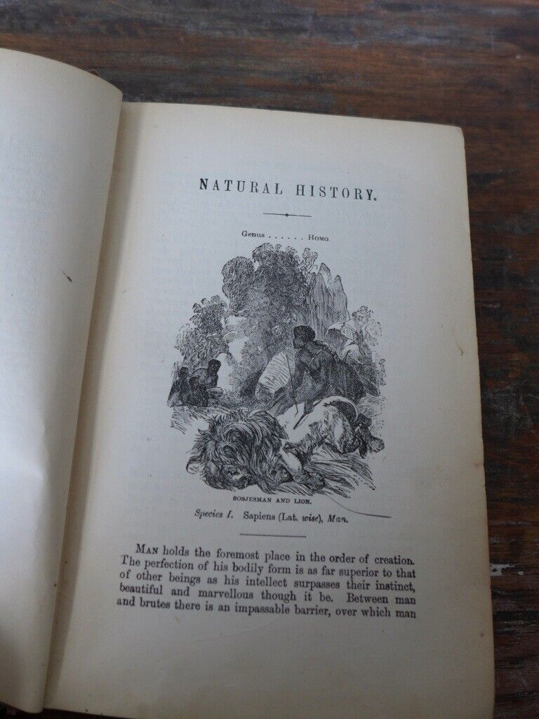 Collectable antique vintage hardback: THE BOY’S OWN NATURAL HISTORY. By the Rev J G Wood.
