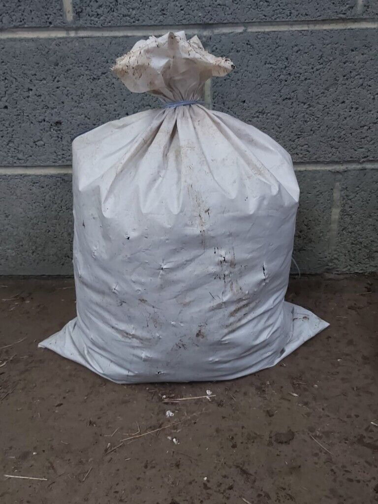 Horse Manure