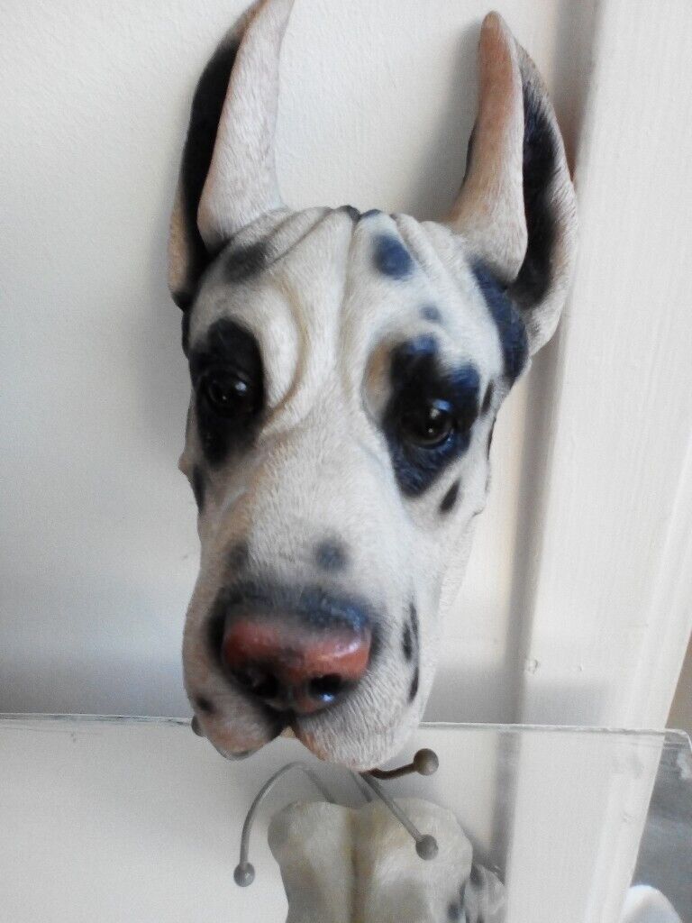 Dalmatian Dog realistic looking Wall / Door Hook £5 