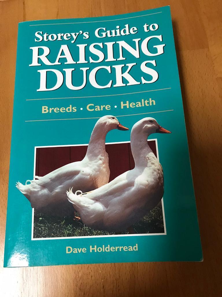 image for Raising Ducks Book 