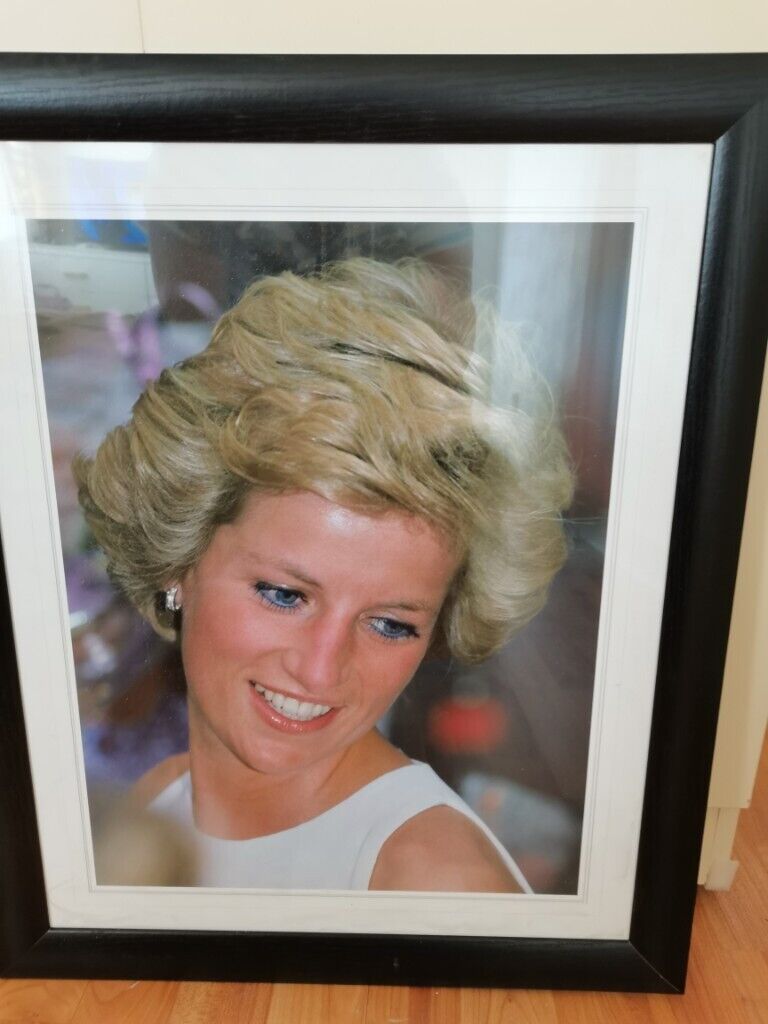 image for Lady  Diana Queen of Hearts print