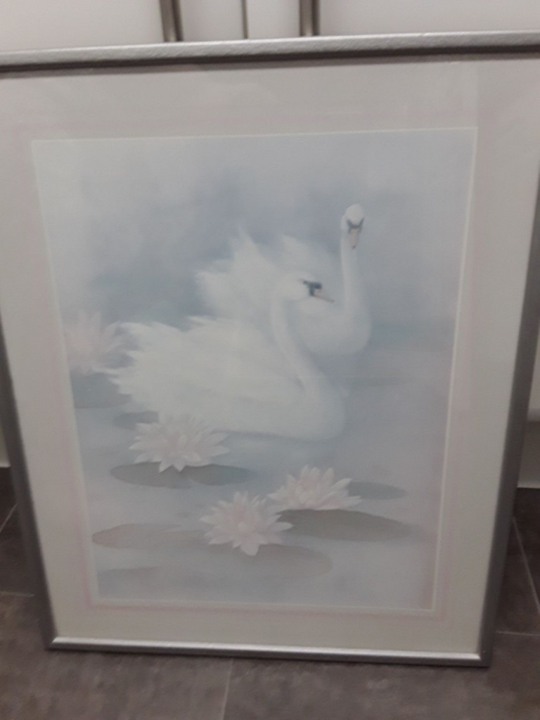 SWANS FRAMED PICTURE