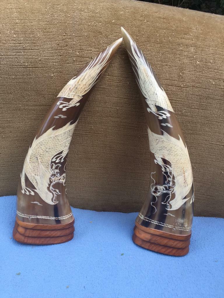 Hand carved water buffalo horns