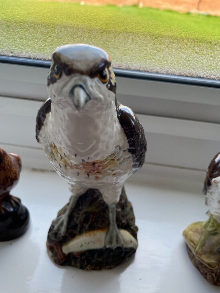 10 Royal Doulton Birds Of Prey Whiskey Flasks
