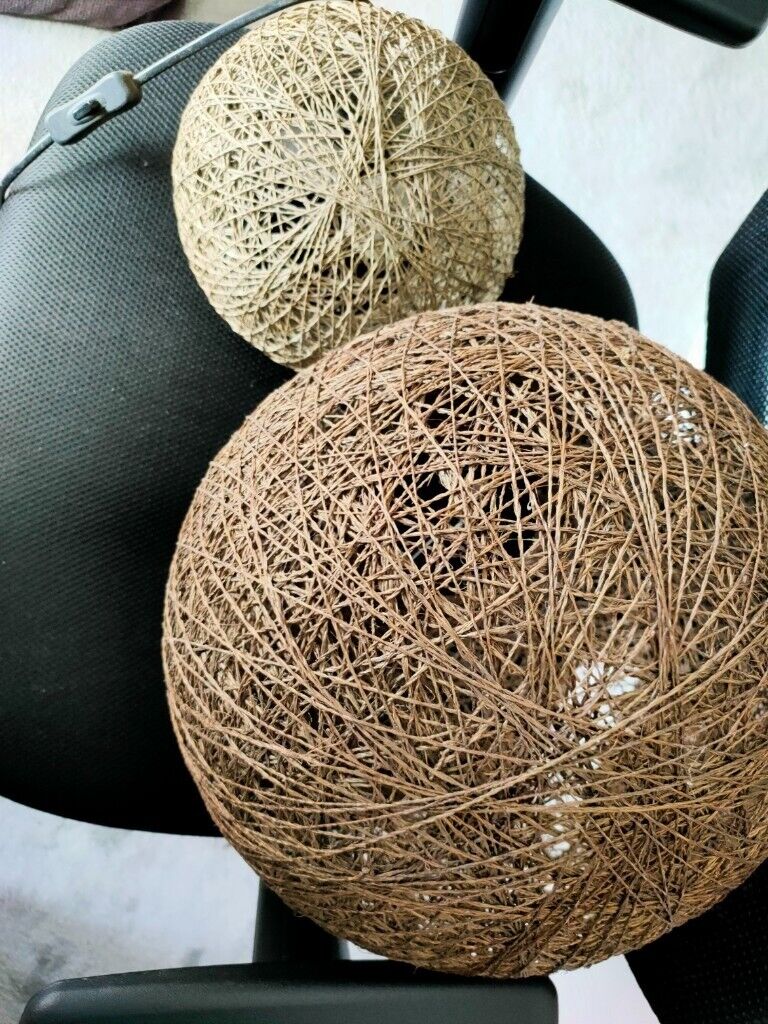 ceiling light and table light shade set
