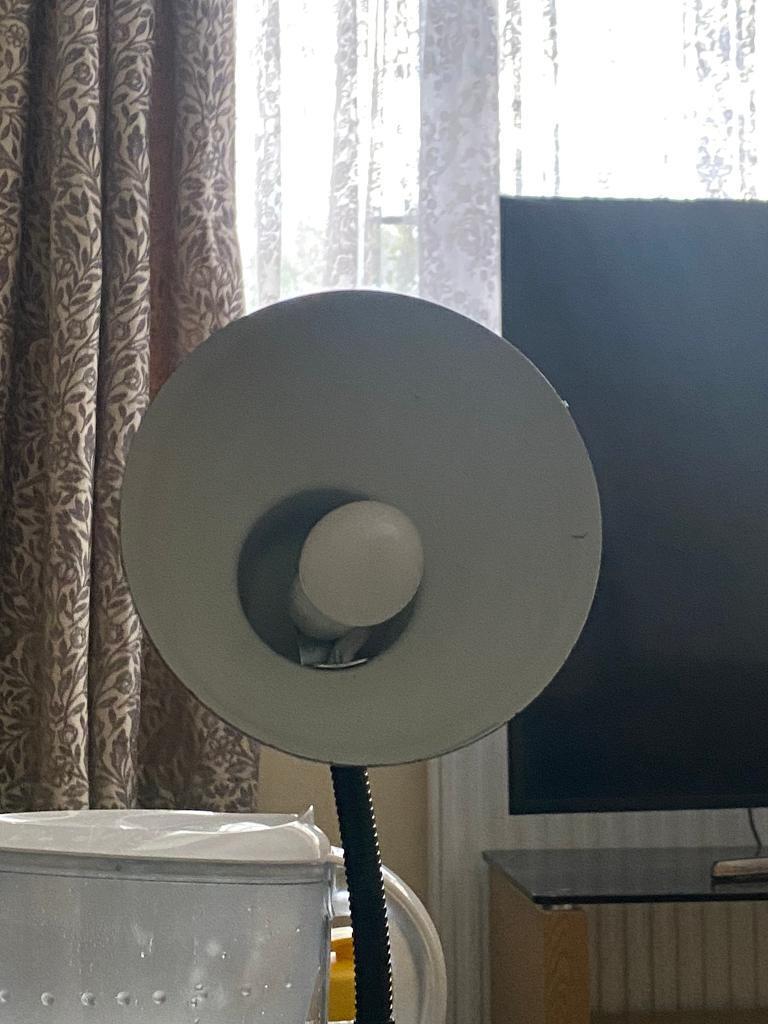 desk lamp with adjustable head