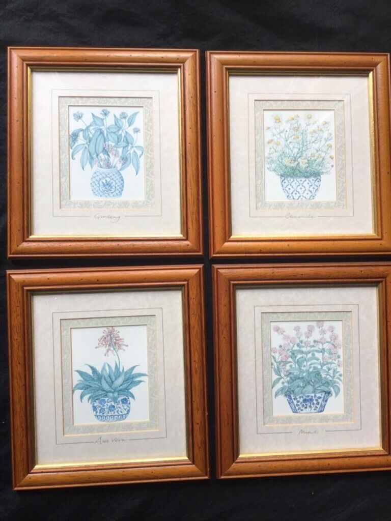 image for Set of Four Framed Double Bevel Mounted Garden Herb Prints.