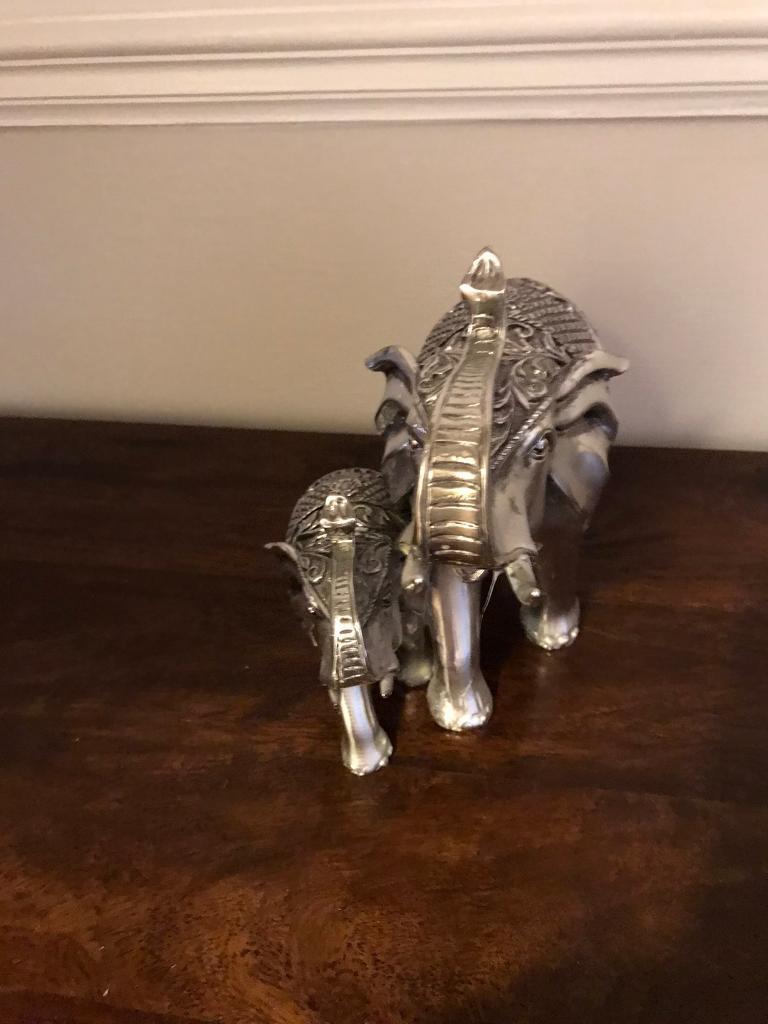 Elephants 