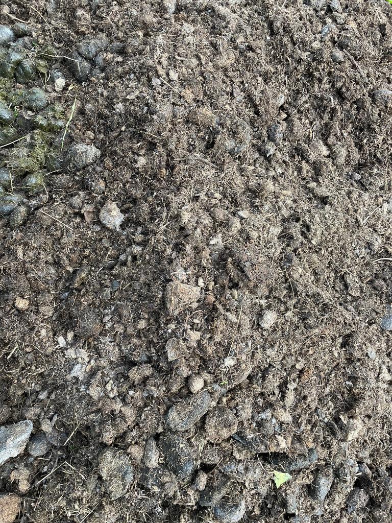 image for Well Rotted Horse Manure