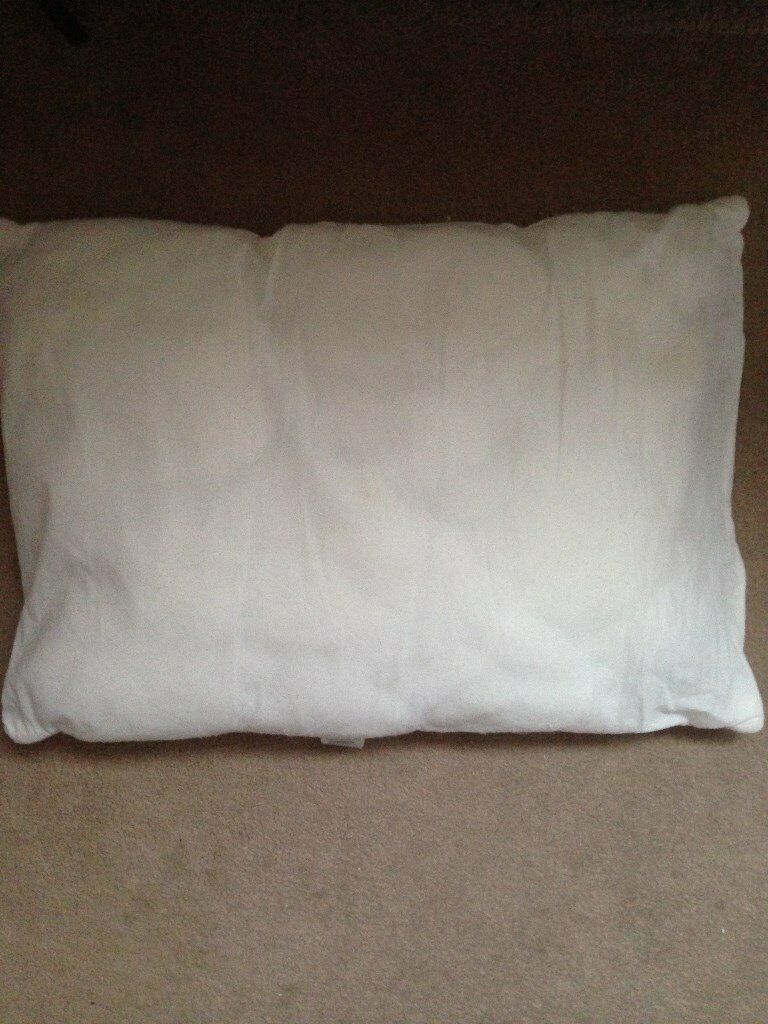 image for Oblong Cushion Inner Pad