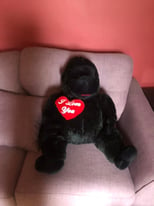 I Love You cuddly gorilla - nice Valentines gift! 