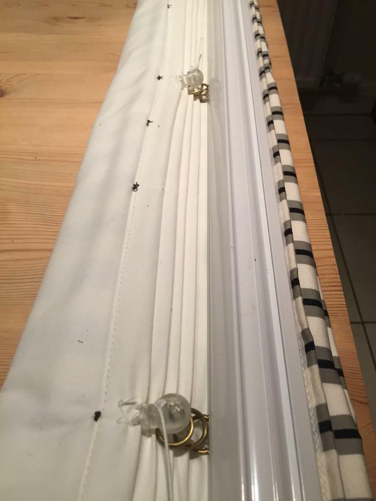 Blinds Roman Blinds