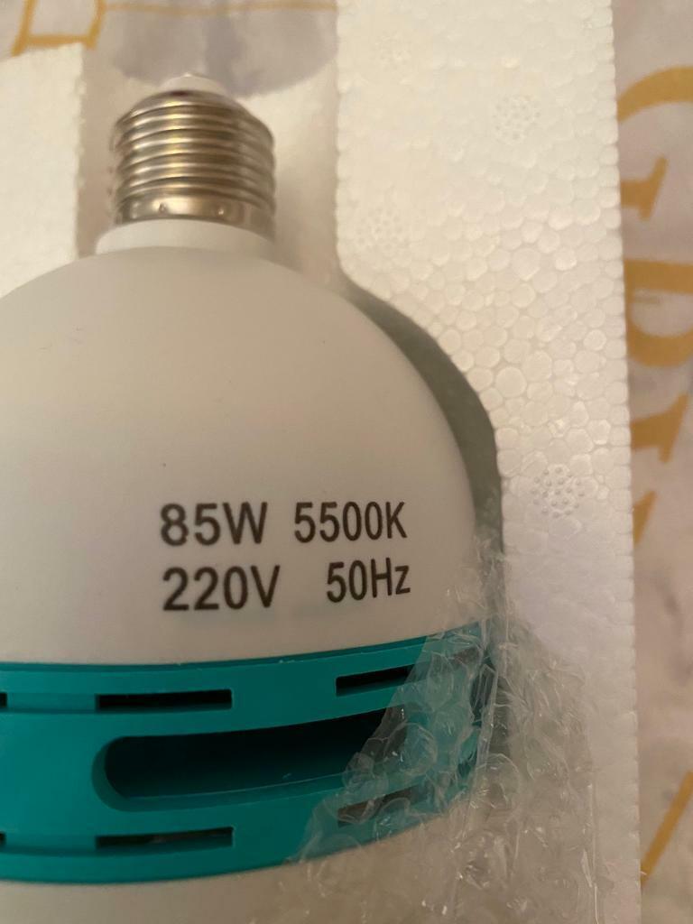 Photography light bulbs 