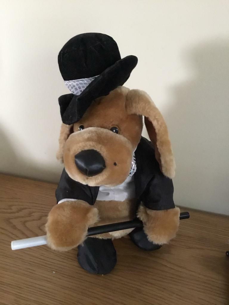 image for RARE MUSICAL DOG, PLAYS “NEW YORK, NEW YORK “