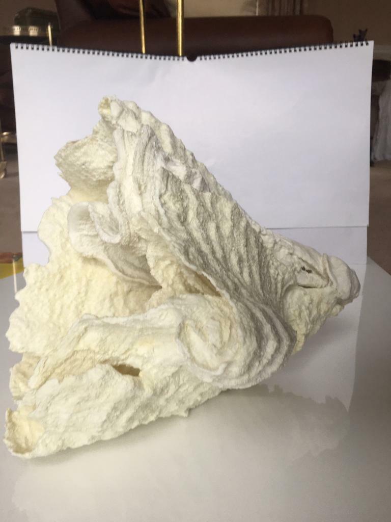 pottery barn large REALISTIC CORAL STATUE GARDEN ORNAMENT CORAL new IN BOX IDEAL GIFT