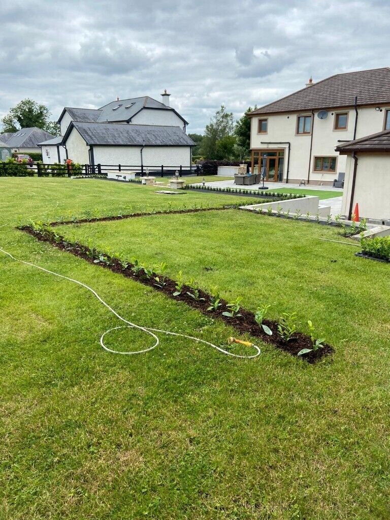 Laurel Hedging