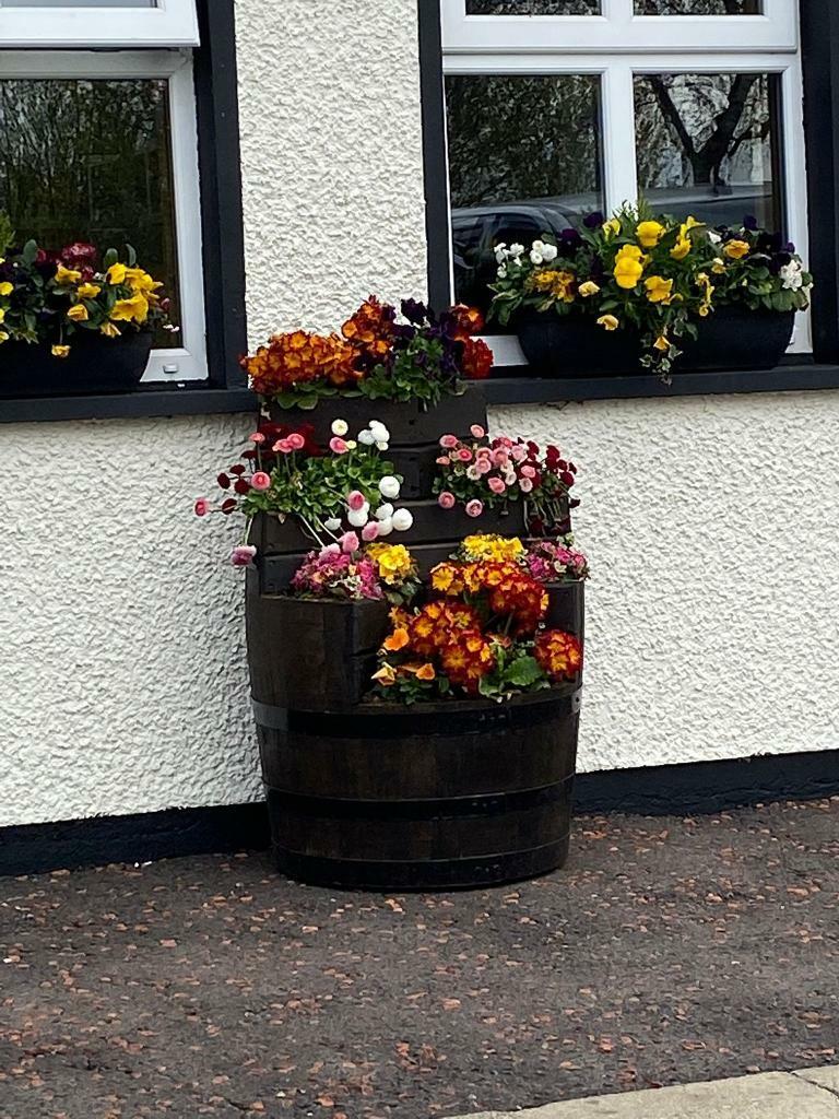 Whiskey and wine barrel 