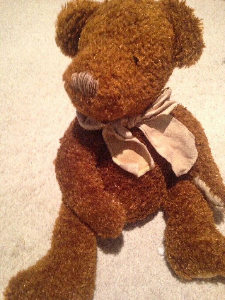 beanie plush bear sunkid new