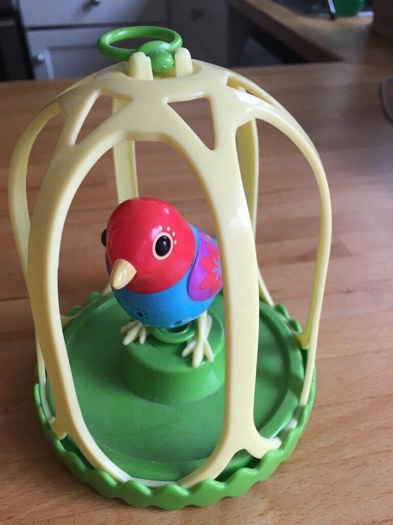 image for Bird and cage 