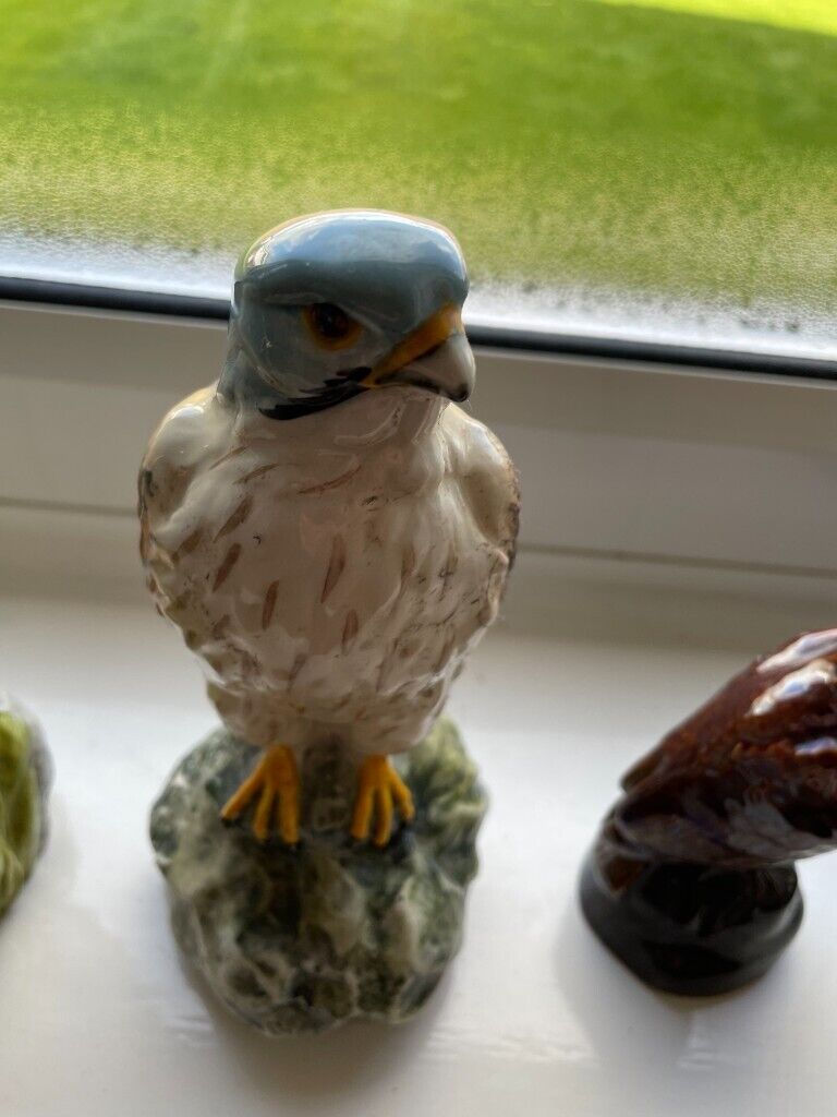 10 Royal Doulton Birds Of Prey Whiskey Flasks