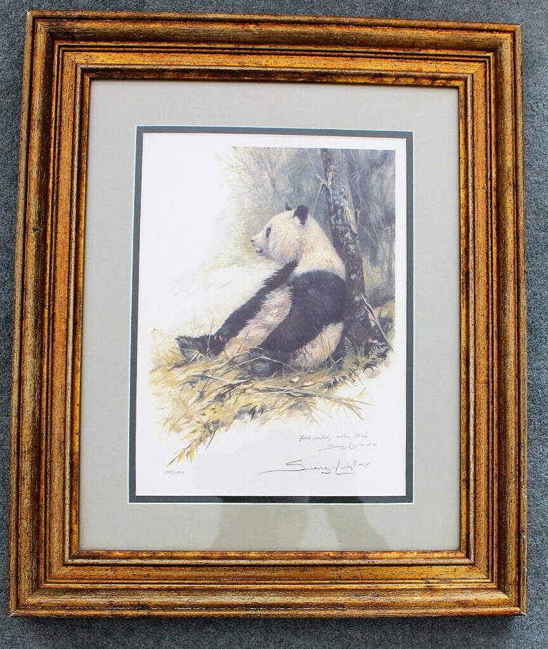 QUINLING PANDA. LIMITED EDITION PRINT BY SEEREY-LESTER
