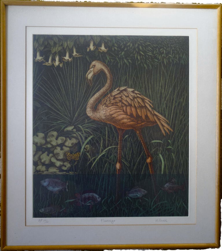 image for The flamingo