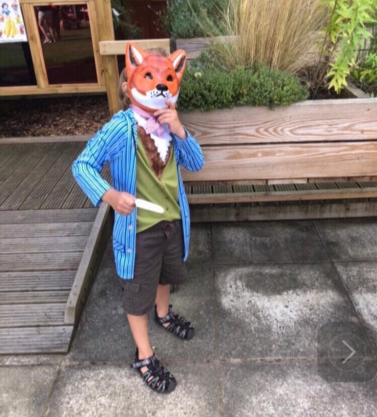 image for Fox costume  age 5-6