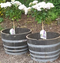 Plant pots for Sale | Garden Pots, Ornaments & Planters | Gumtree