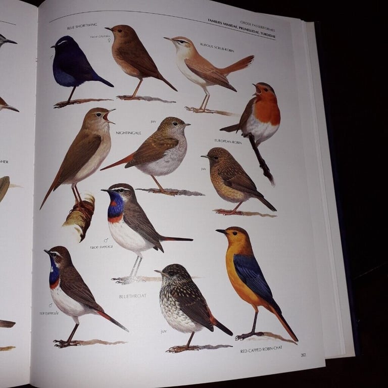 The Illustrated Encyclopaedia of Birds by Christopher Perrins(hardback book)