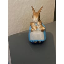 Royal Albert mrs rabbit & bunnies 