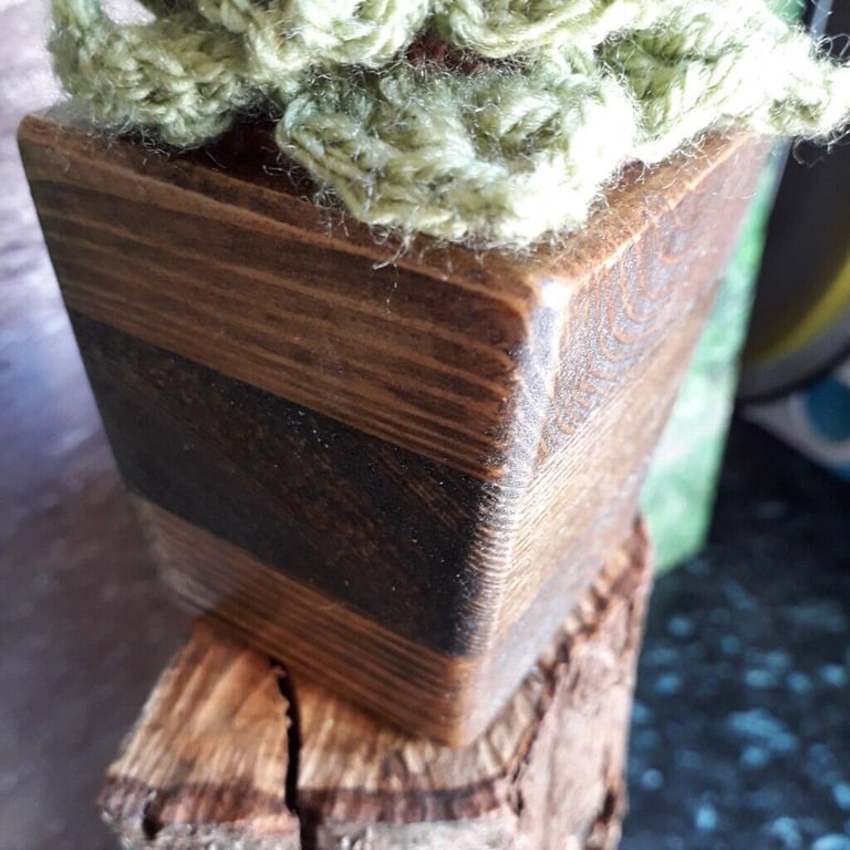 Handmade crocheted cactus in a beautiful handmade wooden pot (NEW ITEM)