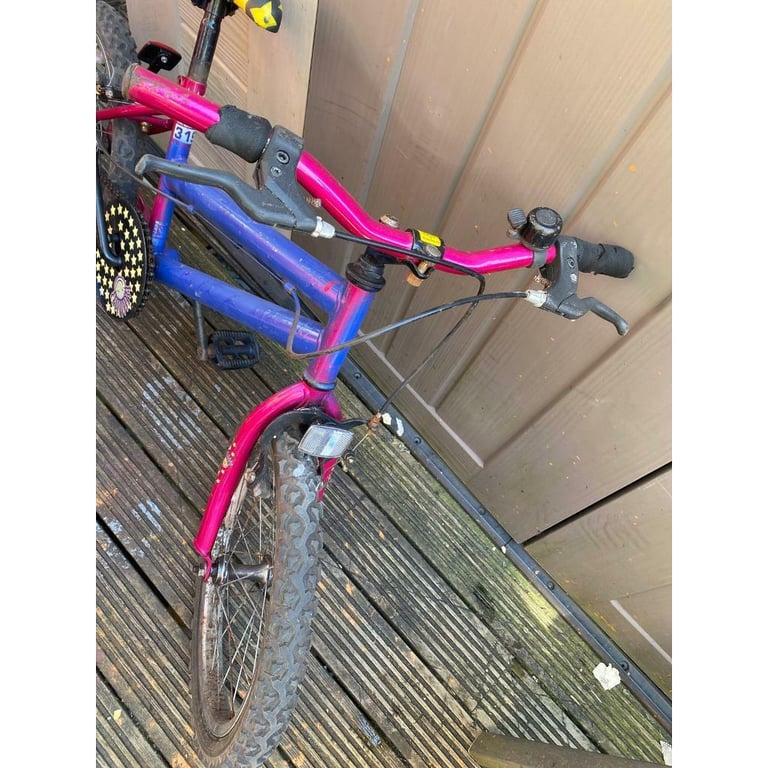 Girls mountain bike age 6+