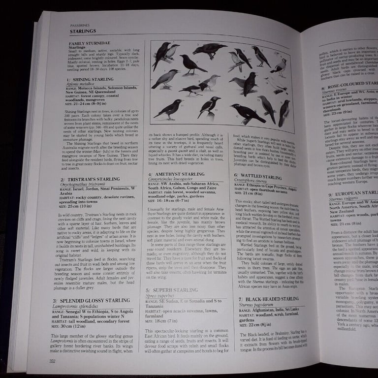 The Illustrated Encyclopaedia of Birds by Christopher Perrins(hardback book)