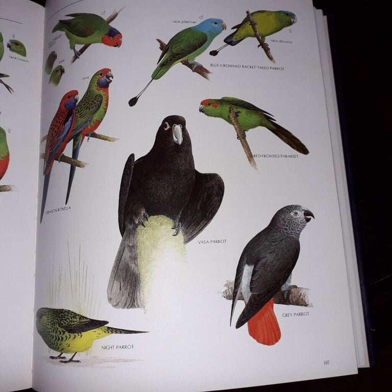 The Illustrated Encyclopaedia of Birds by Christopher Perrins(hardback book)