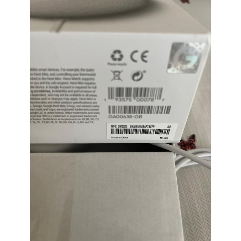 Goggle Nest Mini