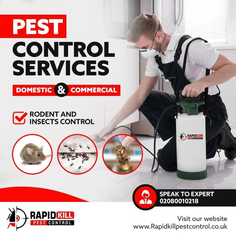 Pest Control 100 Guaranteed NPTA approved Mice rat Bedbugs Ants