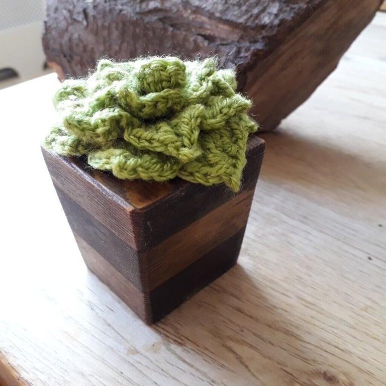 Handmade crocheted cactus in a beautiful handmade wooden pot (NEW ITEM)