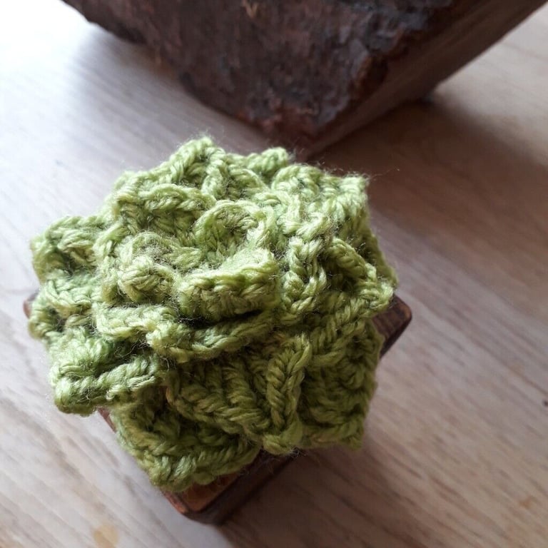 Handmade crocheted cactus in a beautiful handmade wooden pot (NEW ITEM)