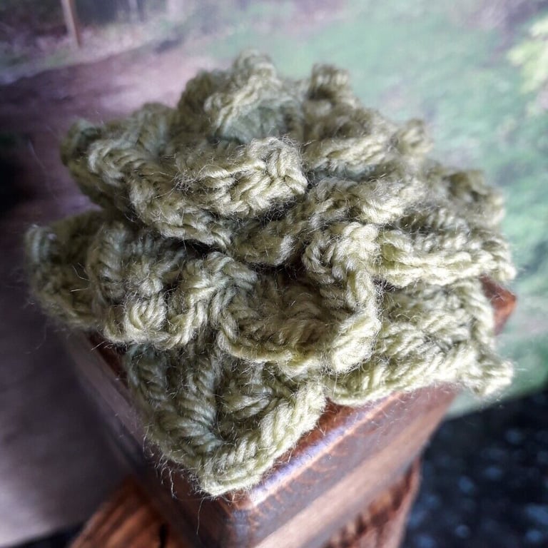 Handmade crocheted cactus in a beautiful handmade wooden pot (NEW ITEM)
