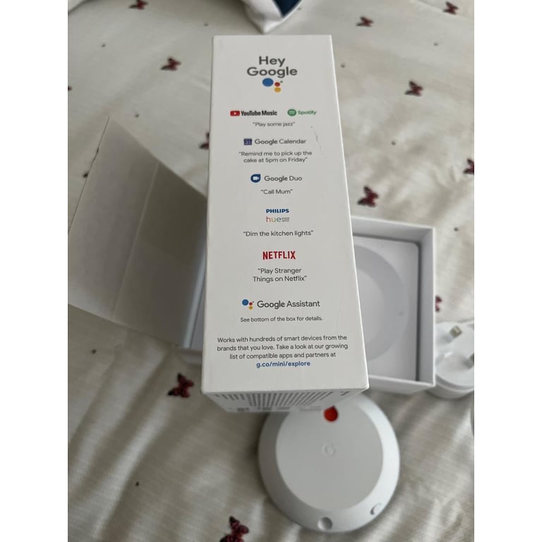 Goggle Nest Mini