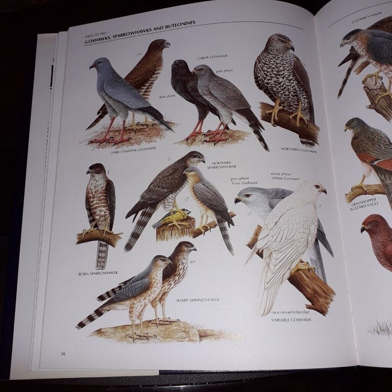 The Illustrated Encyclopaedia of Birds by Christopher Perrins(hardback book)